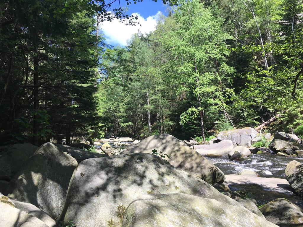 Apartman S Vyhledem Na Jezero Lipno nad Vltavou Luaran gambar